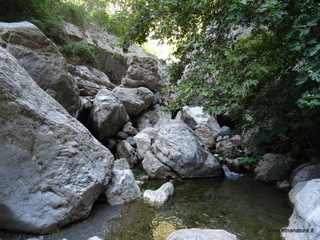 stoleone-09-08-2020 09